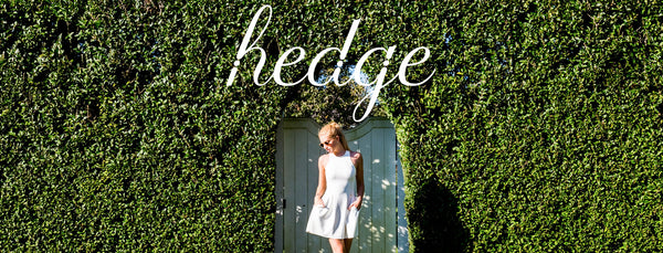 Hedge At Any Age