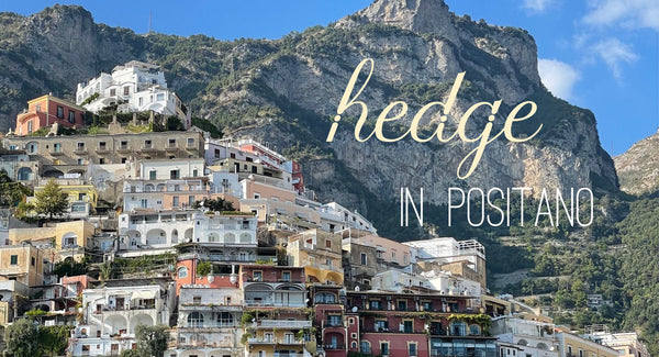 Travel Journal: Hedge in Positano