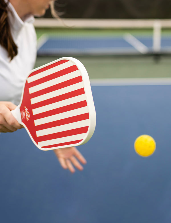 Starter Pickleball Paddle