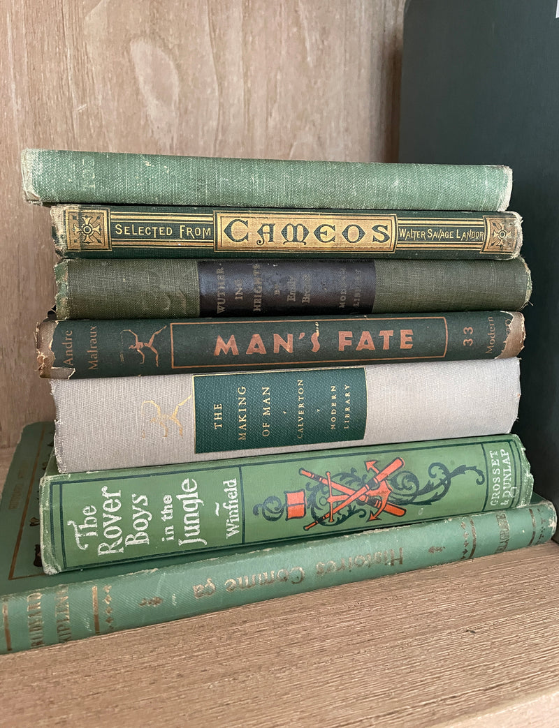 Vintage Book Stack